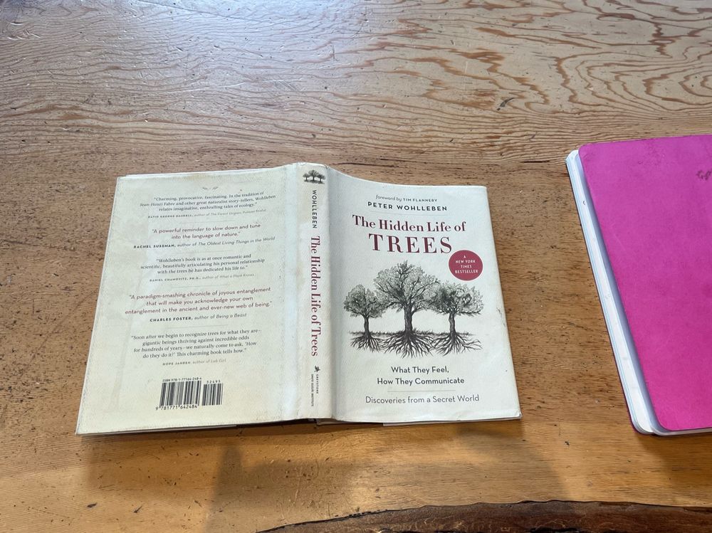 Hardback copy of the book The Hidden Life of Trees by Peter Wohlleben open and face down on a Douglas fir table.