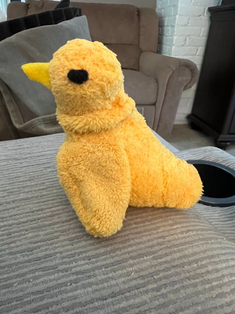 Small yellow plush bird. 