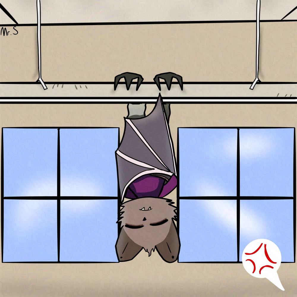Taylor Annabella
Age: 15
She/Her

A tri-colored bat who haven’t traveled outside her state. If there’s one thing she’s known for, it’s sleeping during class. Whether it’s the desk, chair, or the hanging lights that one time, she always take one class to dedicate to slumber. Her tendency to doze off plus her newness to Umbra High makes her one of the targets for bullying

Facts:
- Despite barely getting class work done, she always gets everything sent at home done
- 90% of her lunches come from the local grocery store, and were bought before class
- Same height as Schmidt