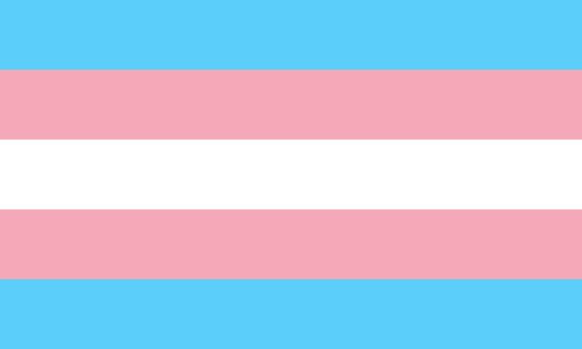 The trans flag