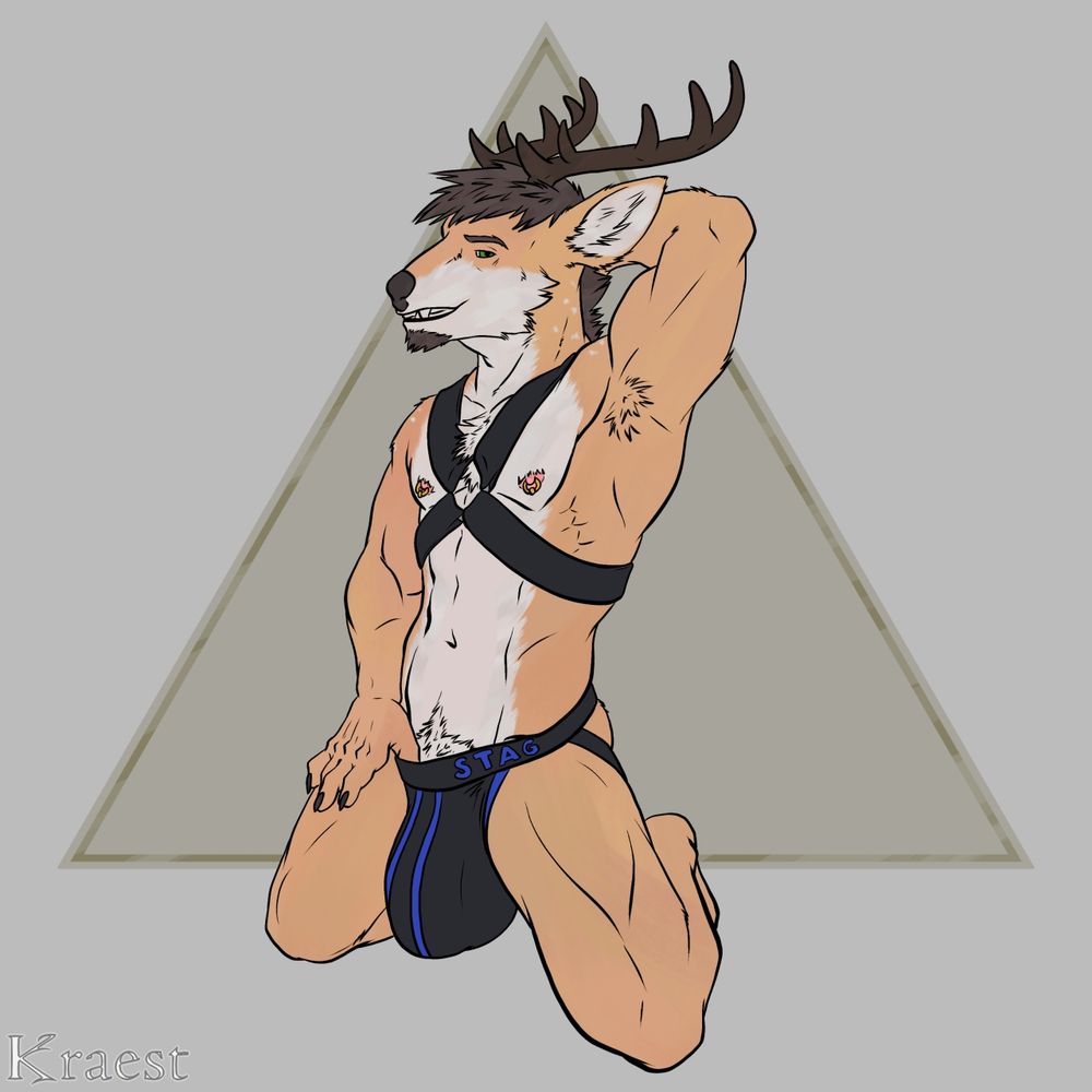 A stag kneeling down and wearing a harness and a jock that has the word STAG emblazoned on the waistband. He has his left arm up with his hand behind his head.