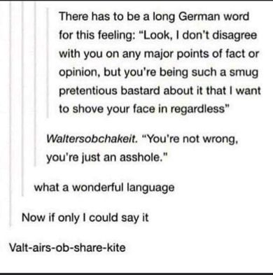 There has to be a long German word that describes “I don’t disagree with you, but you’re being such a smug pretentious bastard I want to shove in your face. 

Waltersobchakeit:  you’re not wrong, just an asshole. 