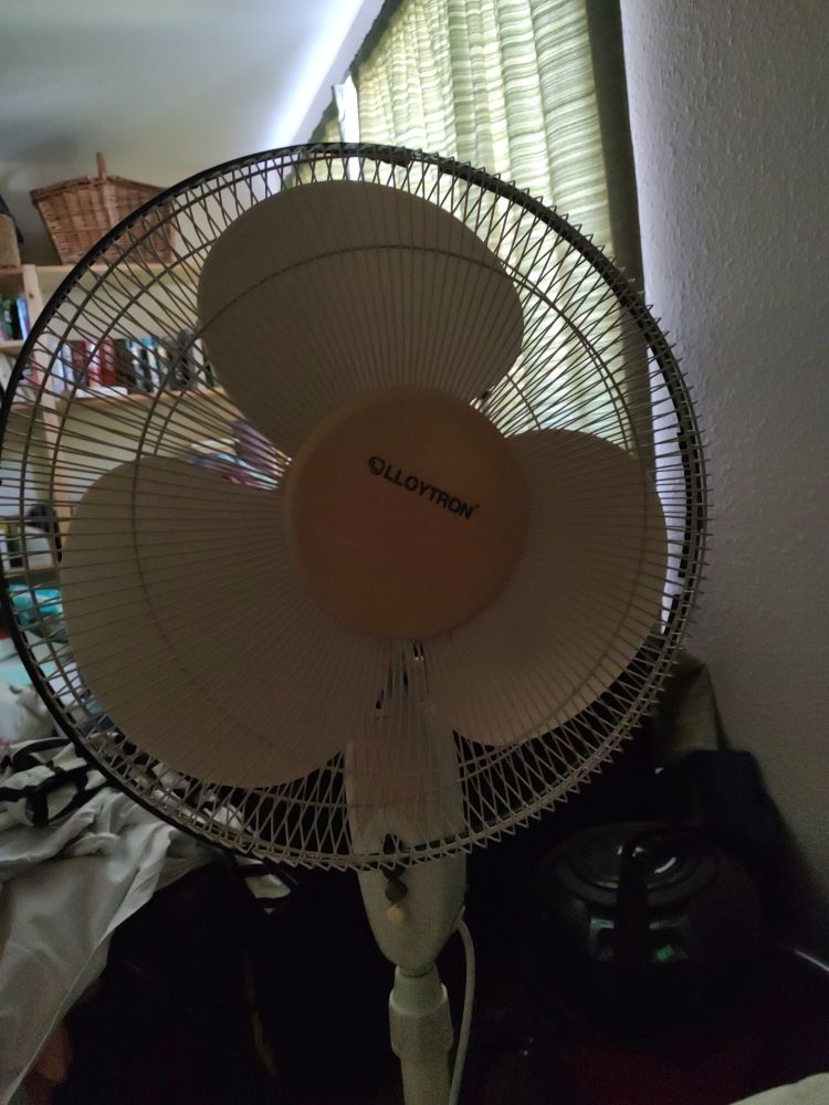 An upright fan with its blades in a metal cage in front of a pile of clothes/ suitcases / a vacuum cleaner. The brand name on the fan is Lloytron. 