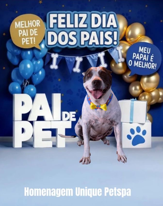 Foto da cachorra Mococa sentada, com um fundo falando FELIZ DIA DOS PAIS e variantes.