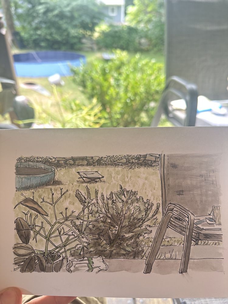  Pen and ink, wash, watercolor, quick sketch of a mundane scene of a chair and a couple plants, with the actual scene in the  background