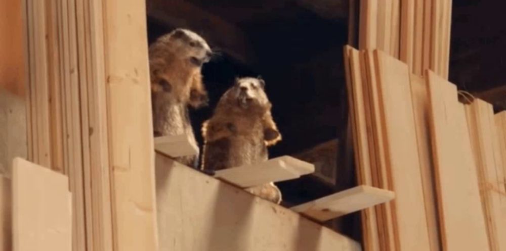 a couple of squirrels are standing on a wooden ledge