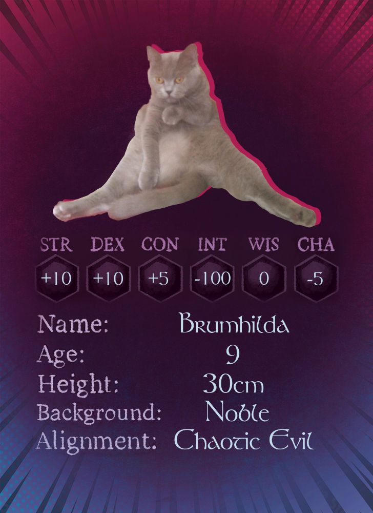 the back side of the art, which depicts a photograph of a cat sitting in a triangle pose and licking its paw. under the photograph are written the cat's dnd characteristics, its name, age, height, background and alignment