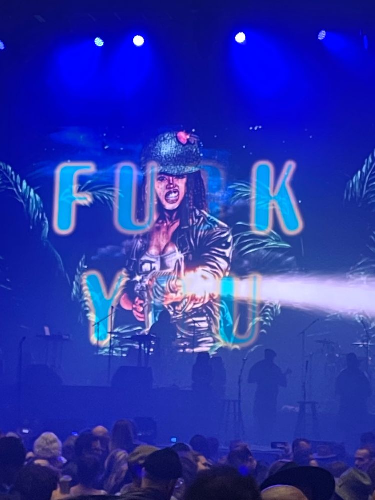 A graphic of a cartoon Badu blasting a machine gun with “fuck you” behind her.