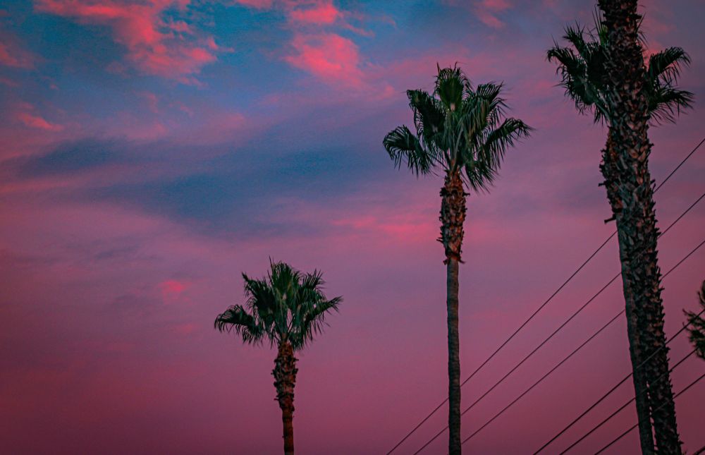 9/11/2023, 7:14PM, 5178x3342, 240dpi, sRGB, Canon EOS Rebel T7, f/4, 1/15 sec, ISO-100, 0 exp. step, 75mm, aptr. 4.125, No flash