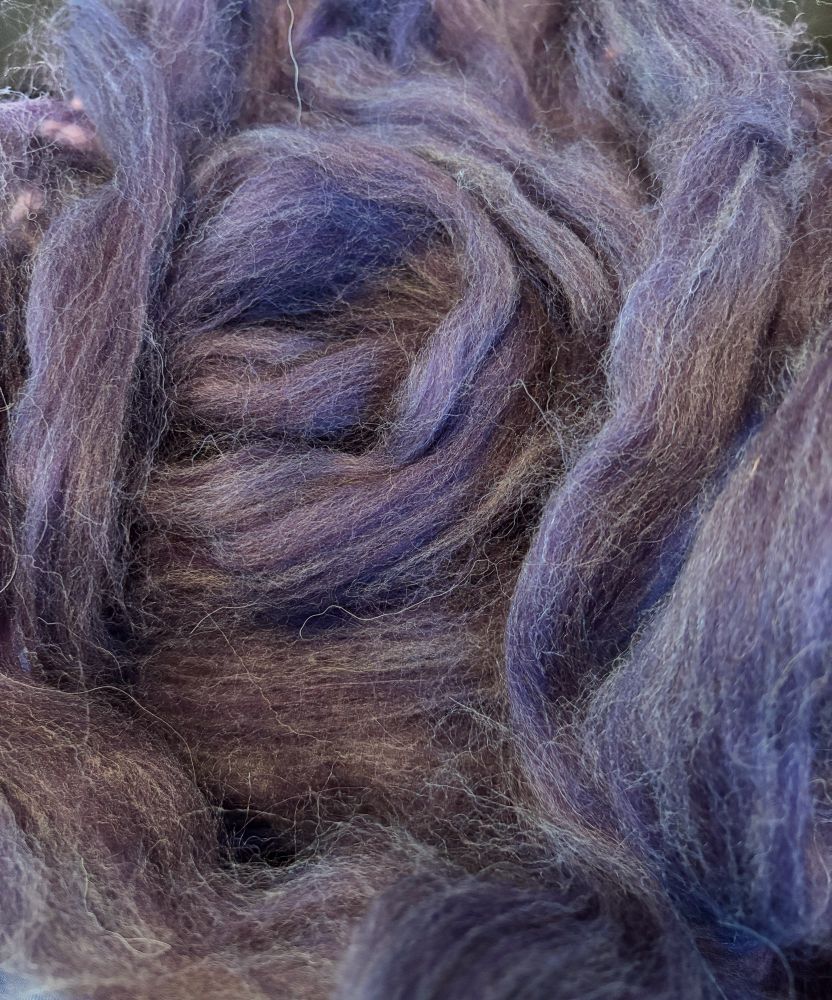 8oz of purple Shetland wool to spin. 