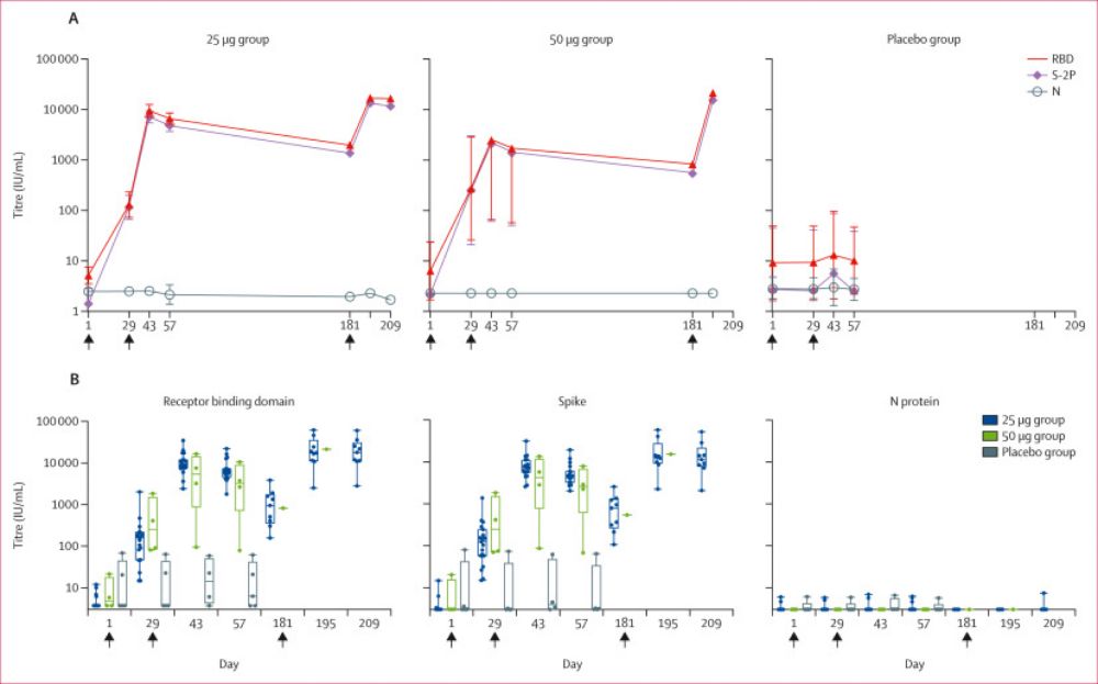 SARS-CoV-2 recombinant spike ferritin nanoparticle vaccine adjuvanted with Army Liposome Formulation containing monophosphoryl lipid A and QS-21: a phase 1, randomised, double-blind, placebo-controlle...