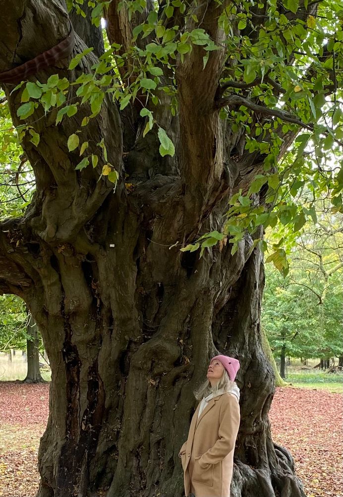 Kleine Frau mit offenem blonden Haar, rosa Beanie und staunendem Gesichtsausdruck vor beeindruckendem, mächtigen, uralten Baum.