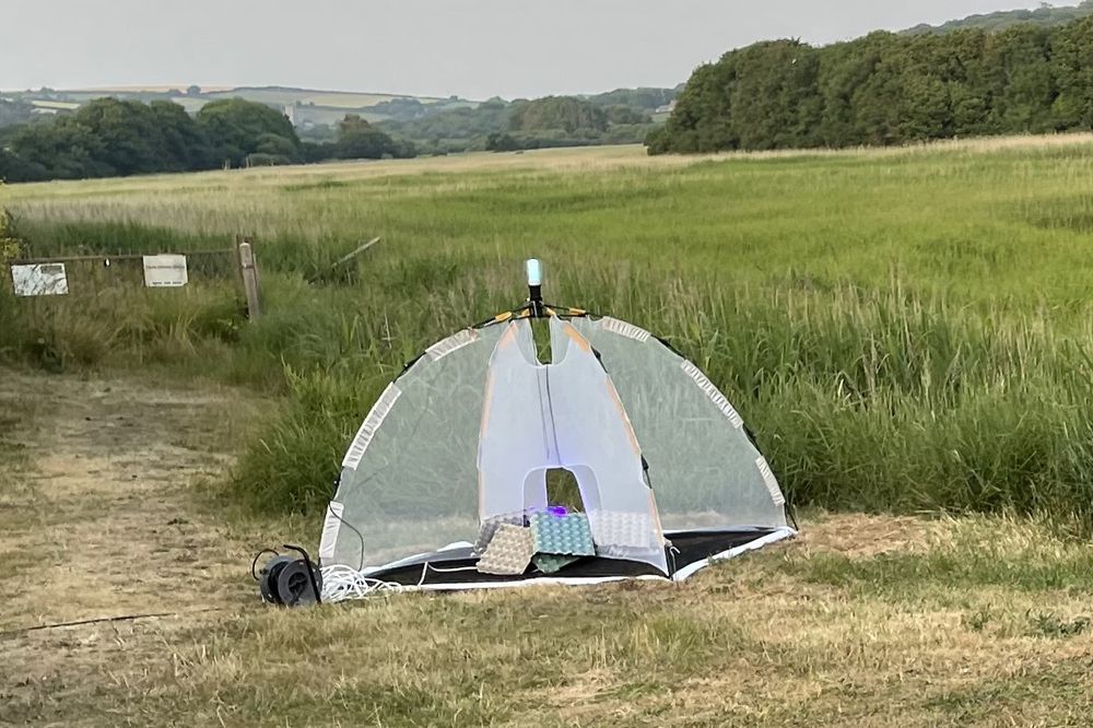 Moth trap beside the reedbed