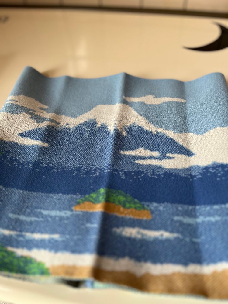 銭湯によくある富士山デザイン