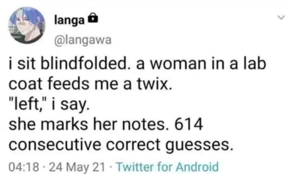 I sit blindfolded. A woman in a lab coat feeds me a twix. Left, I say. She marks her notes. 614 consecutive correct guesses