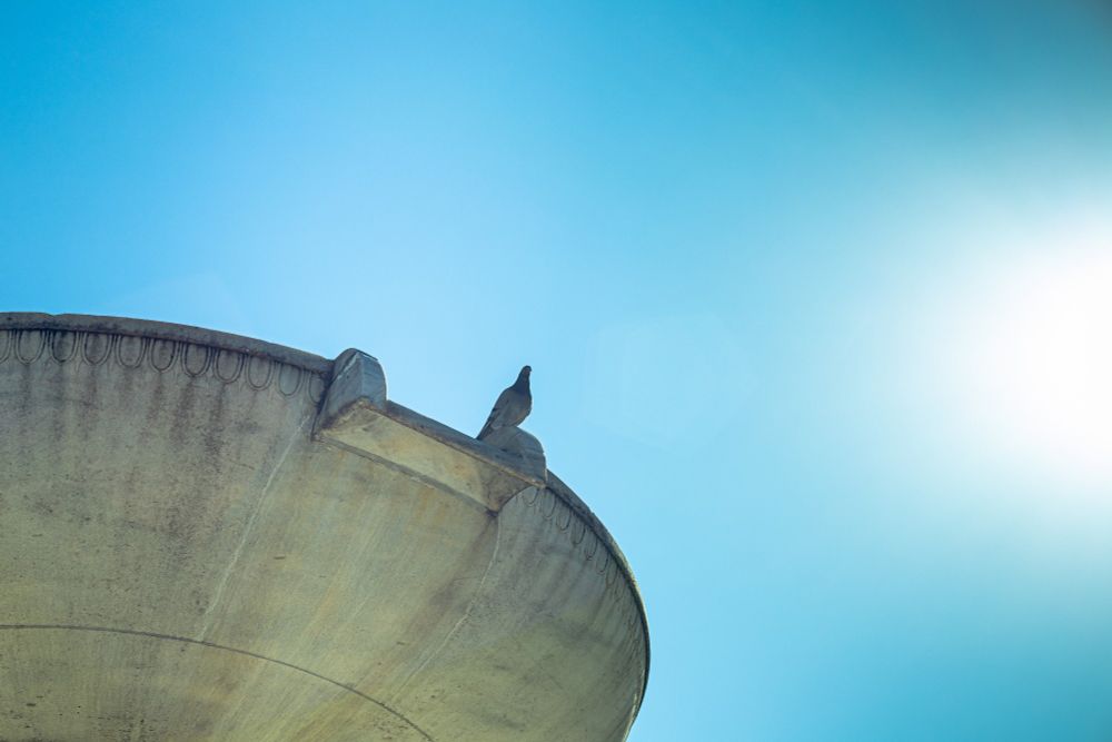 Photo from the bottom of a fountain, with the fountain on the left hand side of the photo. The POV is of a spout from the fountain where a pigeon has sat on the outflow, that is off, with a bright sun on the right side of the photo.