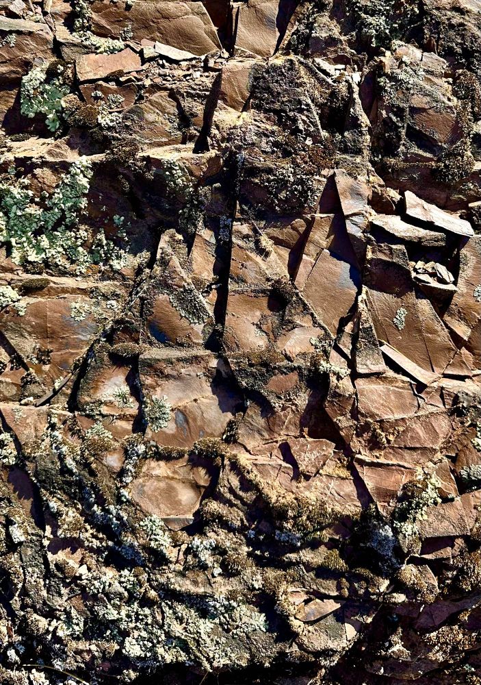A brown rock face with lichens and dramatic geometric cracking 