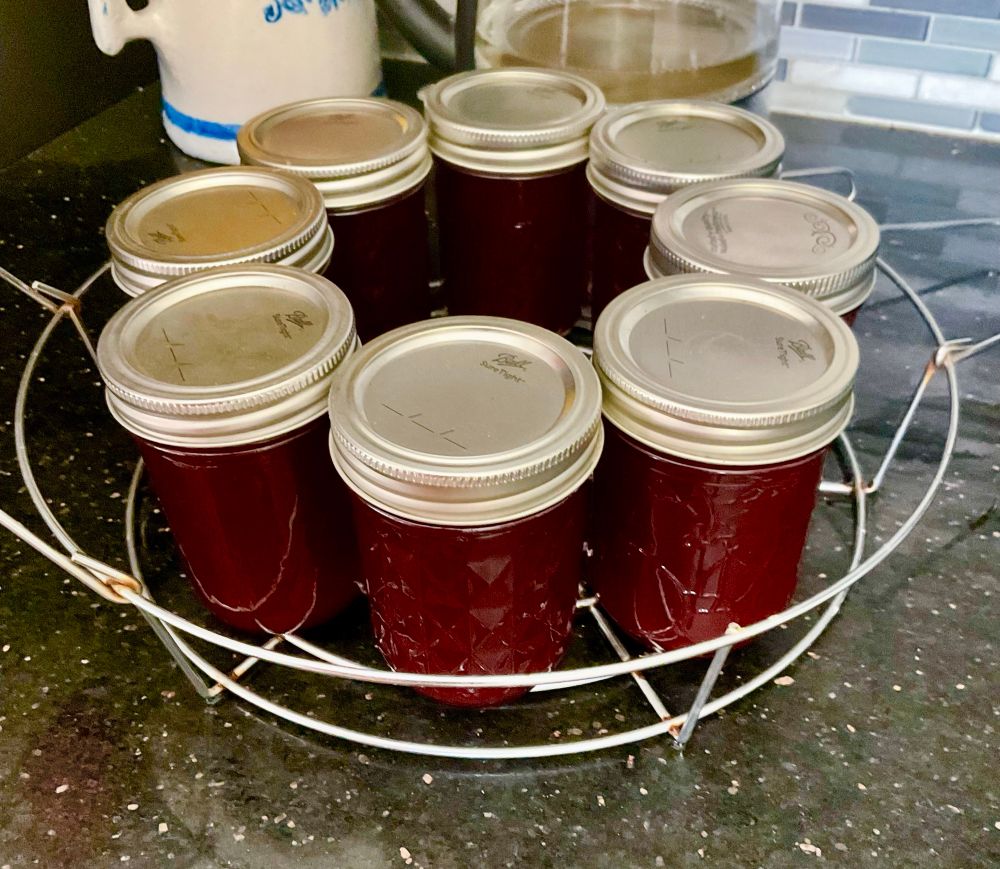Eight Ball canning jars full of deep wine colored plum jam still in their rack from the boil pot sitting on the black quartz kitchen counter. 