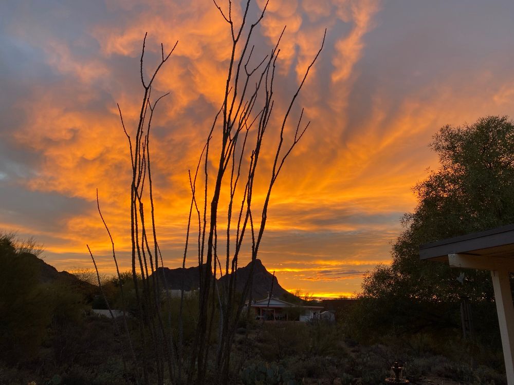 An orange sky over Tucson just after the sunset 
