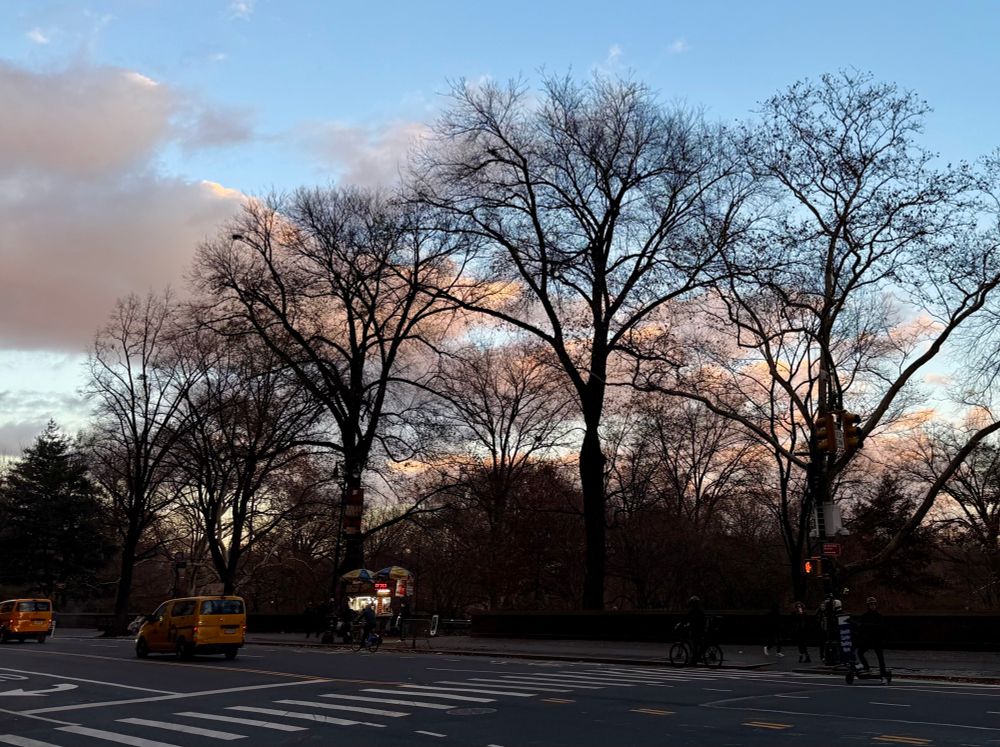Pink, white, and grey fluffy clouds in the twilight sky silhouette the bare trees across Central Park West. 