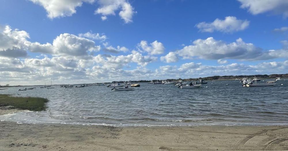 Unresponsive paddle boarder pulled from Polpis Harbor