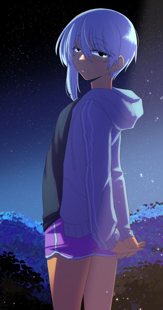 A boy standing and looking back towards the camera. The background shows some bushes with a starry sky. A light glowing from the right side shows that he's wearing a black shirt, purple shorts, and gray hoodie. He has his hands clasped behind him as his expression looks more curious.