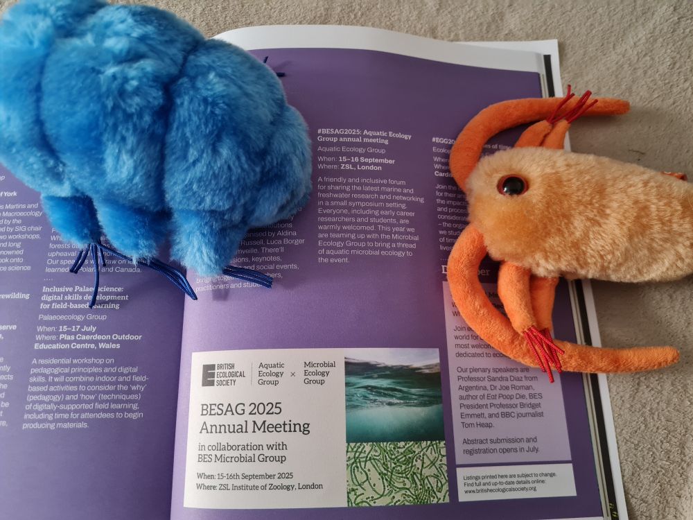 Two soft toys (an orange copepod and a blue tardigrade) on the BES magazine, by the advert for the annual aquatic ecology group conference.