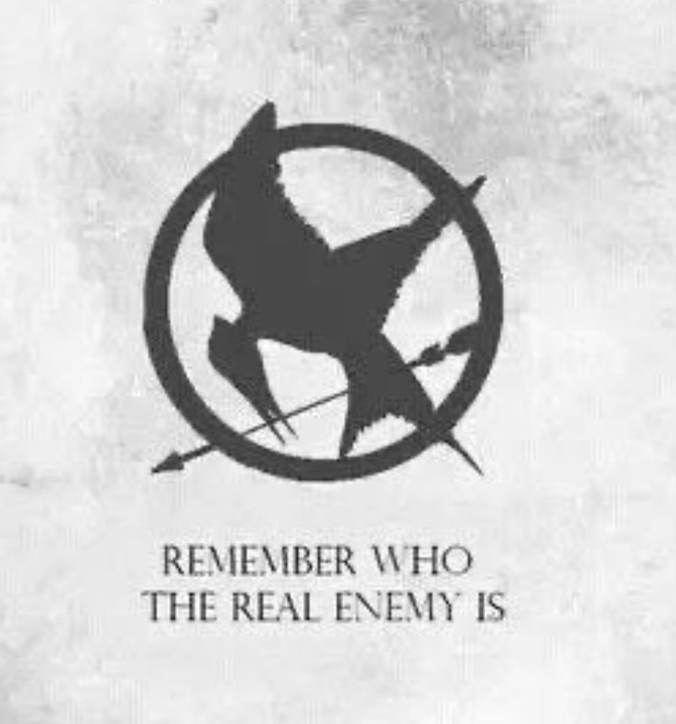 A black-and-white graphic featuring a Mockingjay, a symbolic bird from The Hunger Games series, encircled by a ring with an arrow piercing through it. Below the emblem, the phrase ‘REMEMBER WHO THE REAL ENEMY IS’ is written in capital letters. The background has a textured, slightly worn appearance.