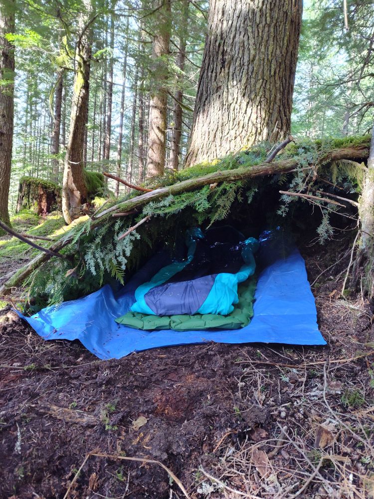 The half dome, weaved shelter seen from the entrance with a blue tarp, a sleeping mat and a sleeping bag set up inside 