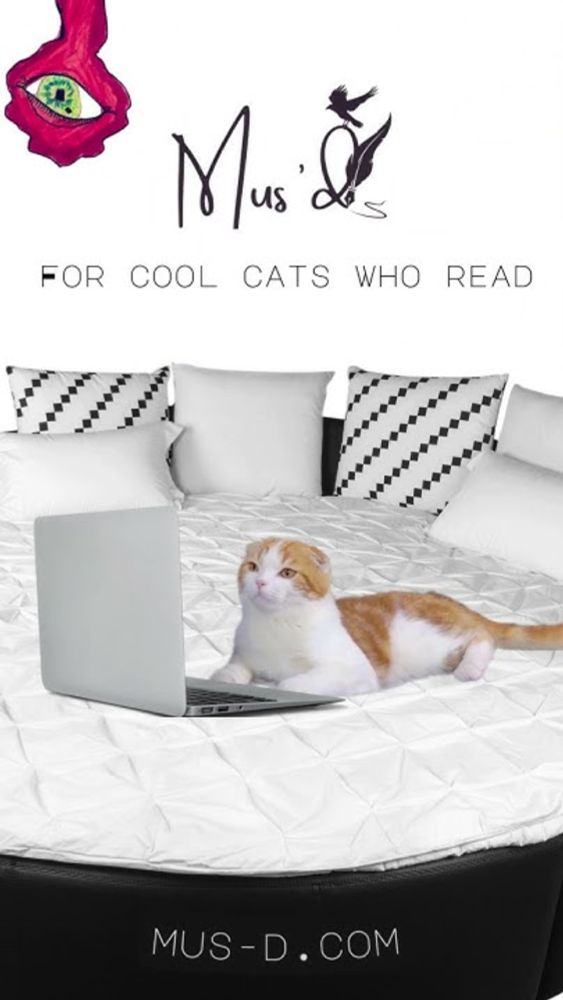 For cats who read