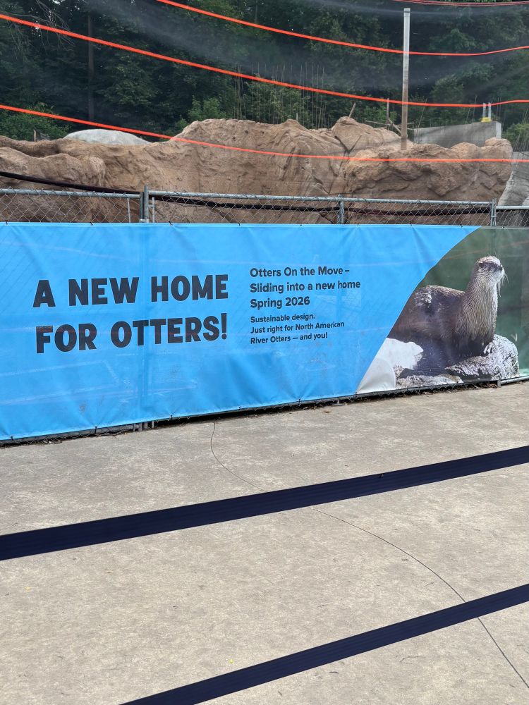A blue banner in front of construction at a zoo. There is a photo of an otter on the right, and black text on the left. The text reads as follows:

A NEW HOME FOR OTTERS!
Otters On the Move - Sliding into a new home
Spring 2026
Sustainable design.
Just right for North American
River Otters - and you!