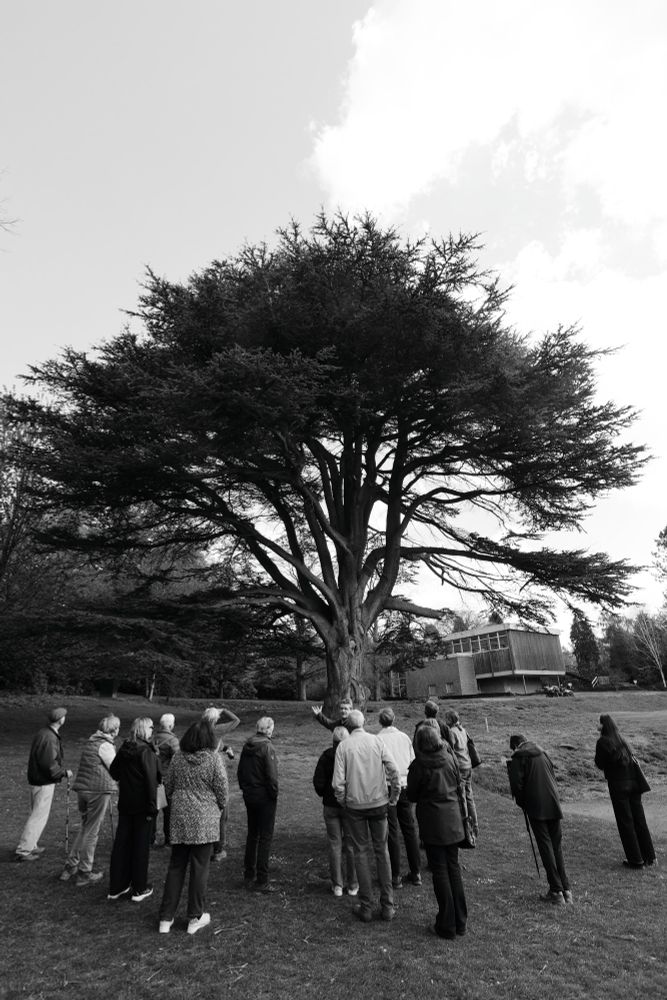 A group of people consider an ancient tree, by one of the modernist buildings of the former Bretton Hall College. 