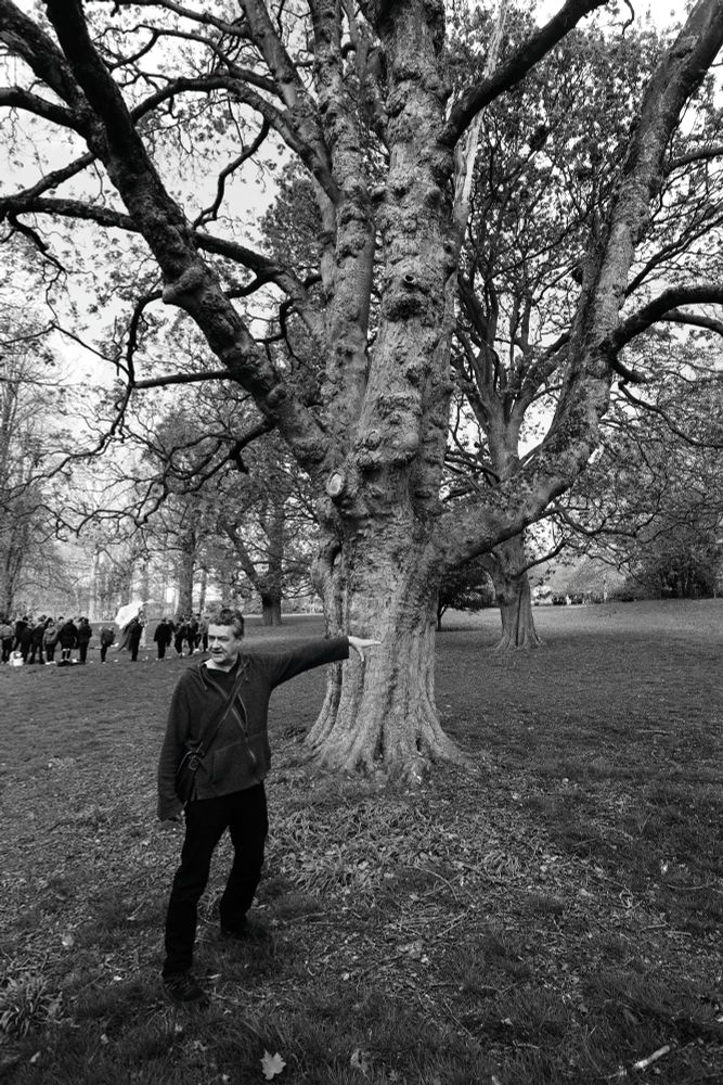 The artist Tony Wade gestures at an interestingly aged tree. 