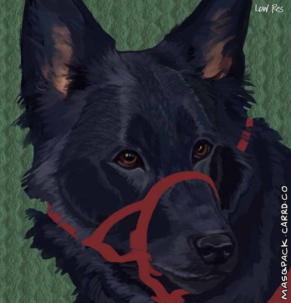 low resolution version: digitally rendered portrait of an original character. a black German Shepherd with a red head collar. his fur is layered and textured, in contrast with the dog’s gear (which is one solid color without shading). rich brown eyes look up off screen. the background is a medium, muted green. the artist’s website is on the right hand side of the image, rotated vertically.