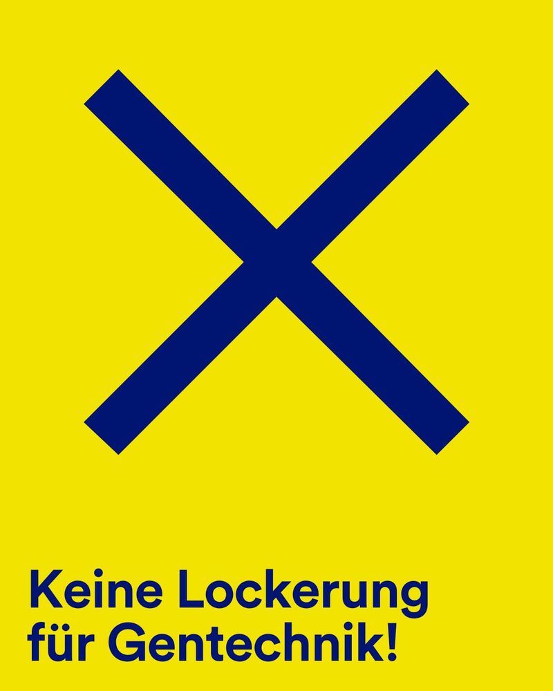 Blaues Kreuz auf gelbem Hintergrund, darunter der Text 'Keine Lockerung für Gentechnik!'