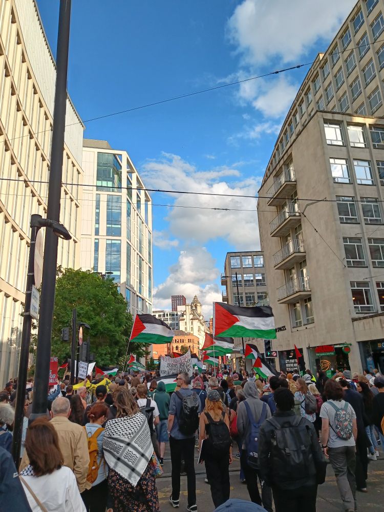 A Palestine Action solidarity march in central Manchester 