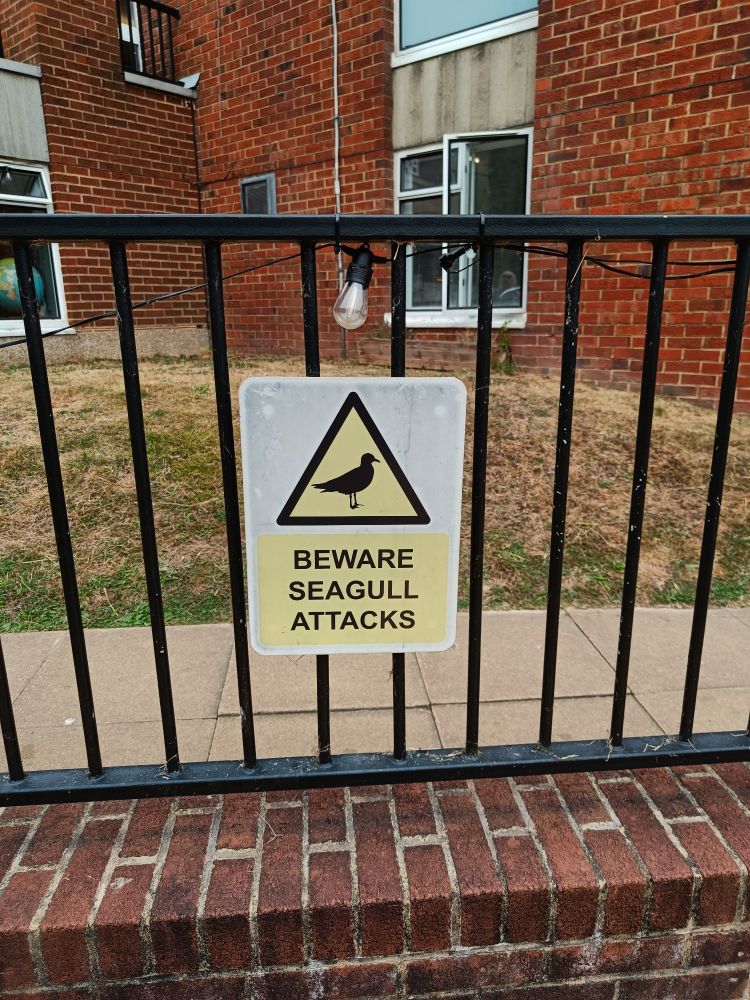 BEWARE SEAGULL ATTACKS warning sign