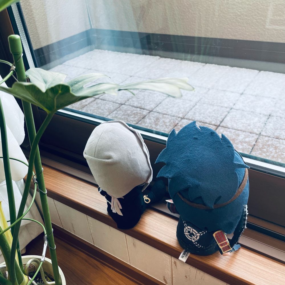 わんぱくぬいぐるみのだいはんにゃとにほんごうが、ベランダの雪を見ているよ！かわいいね