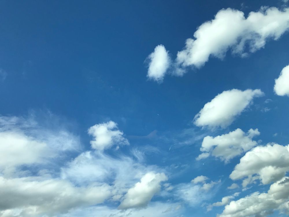 ある夏、坂城へ向かう道中。車の中から撮った空。中央より少し左寄りの雲が可愛い。ヒョイっと下方の雲を飛び越える途中、に見えるんだ。