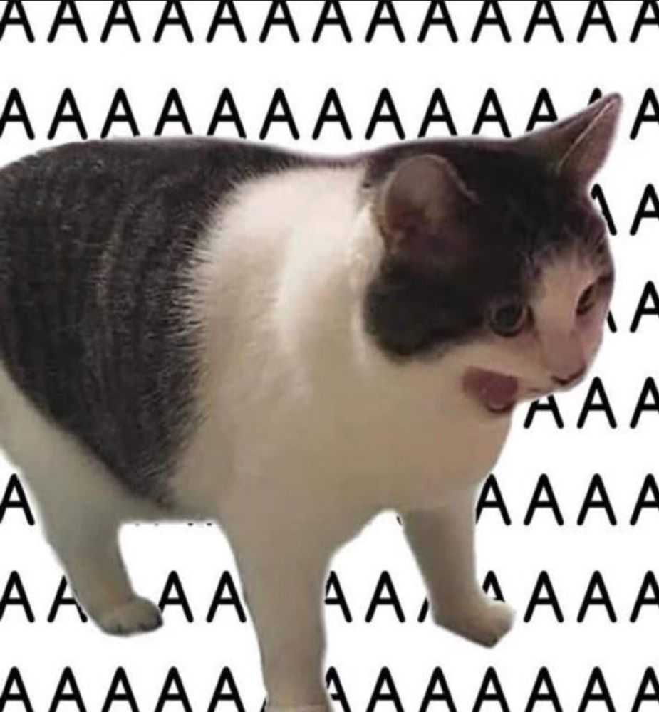 Black and white cat screaming 
Letters A in the background 