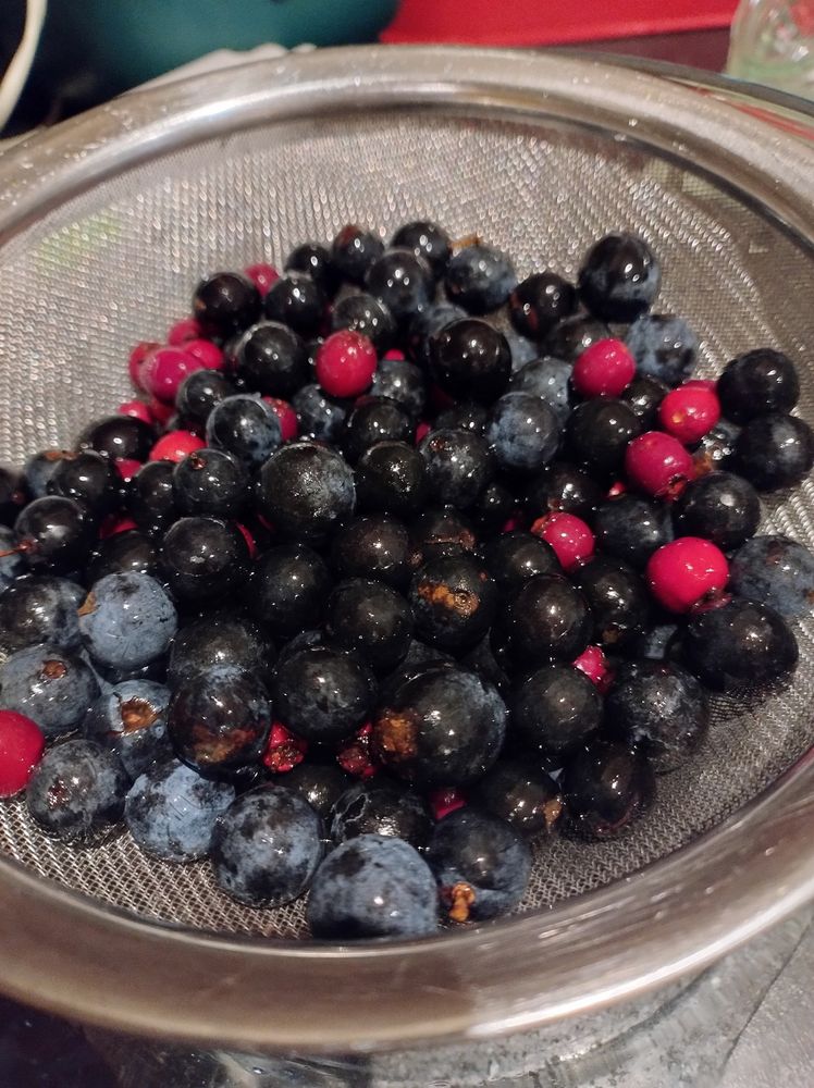 Fruits sauvages dans un égouttoir 