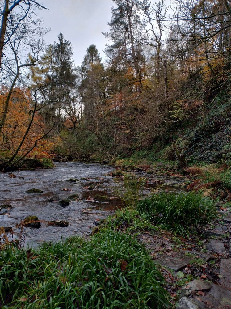 La rivière et le sentier un peu inondé 