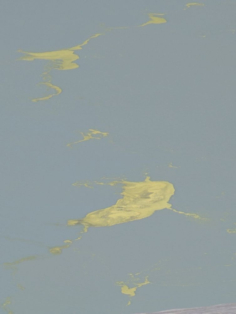 Sulfur slicks on the surface of Te Wai ā-moe crater lake