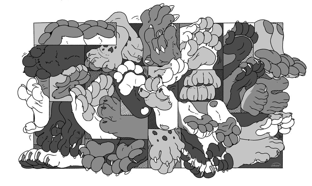 A number of paws together in an image