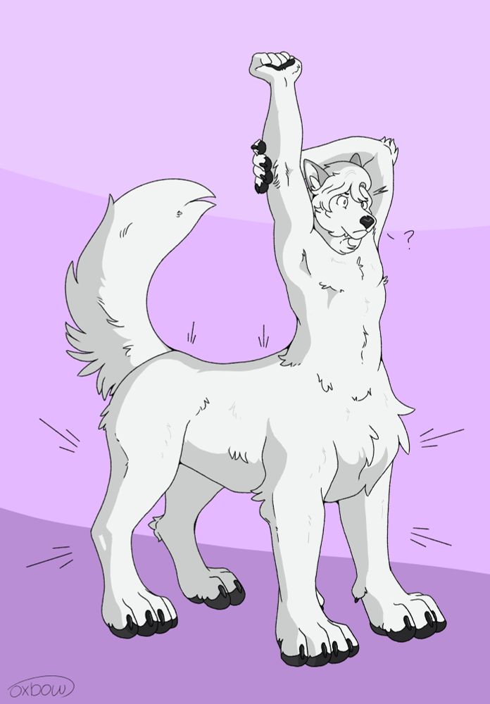 white wolf stretching but his legs have changed to a taur body 