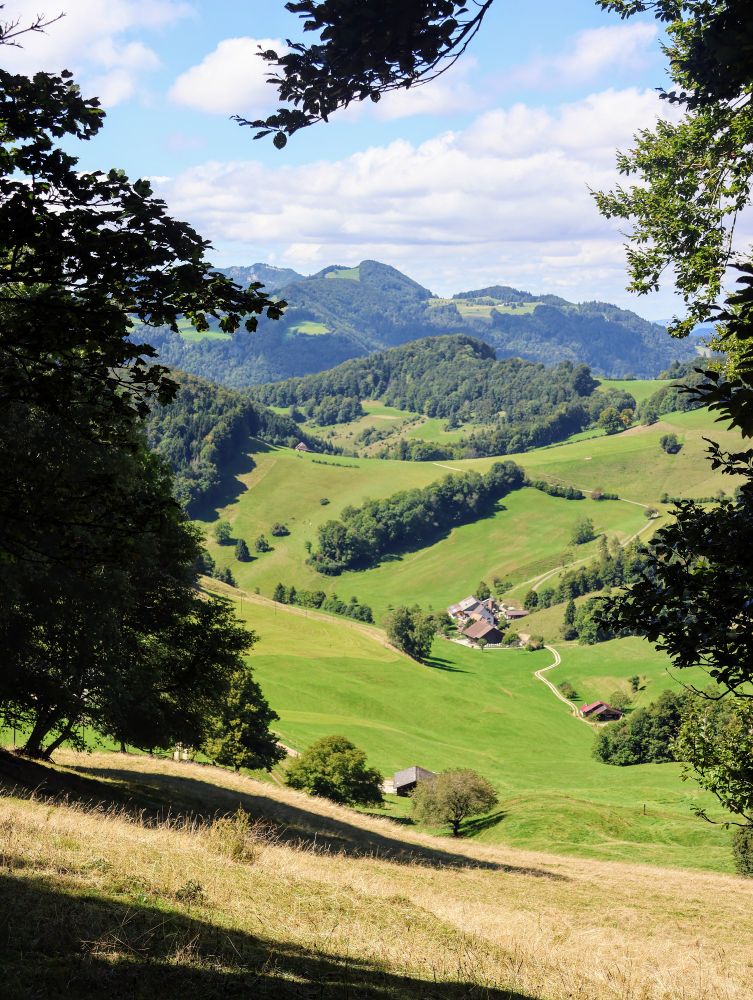 Das Bild zeigt eine malerische Landschaft mit sanften Hügeln, die von üppig grünen Wiesen und dichten Wäldern bedeckt sind. Im Tal liegt ein kleines, traditionelles Bauernhaus mit roten Dächern, umgeben von weiteren landwirtschaftlich genutzten Gebäuden. Die Szene ist von oben aufgenommen, vermutlich von einem Hügel aus, der im Vordergrund zu sehen ist. Die Perspektive wird durch dunkle Baumblätter am oberen Bildrand eingerahmt. Eine schmale, unbefestigte Straße schlängelt sich durch die Landschaft und verbindet die Gebäude miteinander. Im Hintergrund erstreckt sich eine Bergkette, deren Gipfel teilweise von hellen Wolken am klaren, blauen Himmel verdeckt sind. Das Sonnenlicht erzeugt eine Mischung aus hellen und dunklen Bereichen, was die Konturen der Hügel und Felder betont. Die Atmosphäre wirkt friedlich und ländlich. 