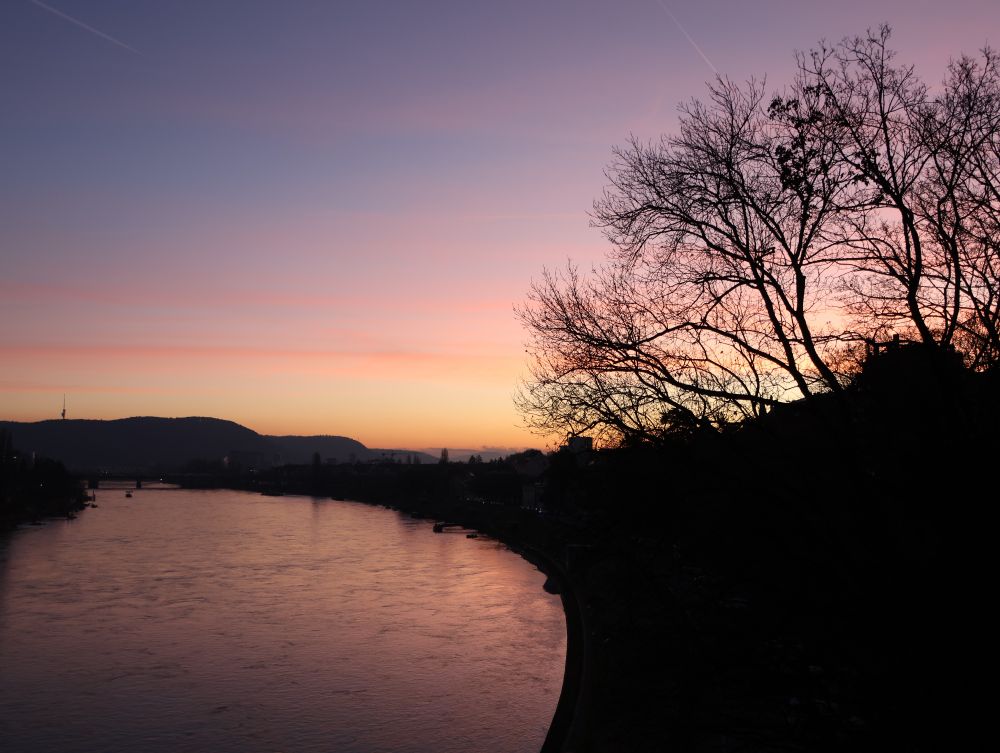 ​🌅 Flussbogen im Violett

Vordergrund (rechts): Eine schwarze Silhouette eines steilen Ufers oder Hügels, bedeckt mit kahlen Baumkronen und Ästen, die scharf gegen das Licht abzeichnen.
​Mitte: Der Fluss spiegelt die sanften Farben des Himmels in Violett- und Rosatönen wider und bildet einen großen, geschwungenen Bogen.
​Hintergrund: Der Himmel zeigt einen klaren Farbverlauf von tiefem Violett an der Spitze über sanftes Rosa bis zu einem hellen Orange-Gold am Horizont. Am gegenüberliegenden Ufer sind dunkle Hügel und die Umrisse einer Stadt mit einem erkennbaren Sendemast oder Turm zu sehen.
​Es ist eine stimmungsvolle Aufnahme, die den Kontrast zwischen der dunklen, winterlichen Silhouette und dem leuchtenden, friedlichen Himmel hervorhebt.