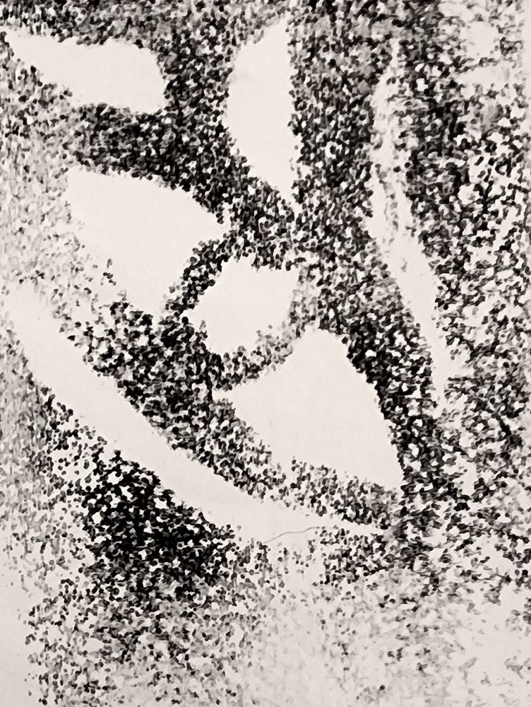 I mean, it looks like some sort of glyph that's based on a simple eye design? Like, the classic Egyptian "Eye of Ra," but subtle enough that it might just be random but you're pretty sure it's not. 