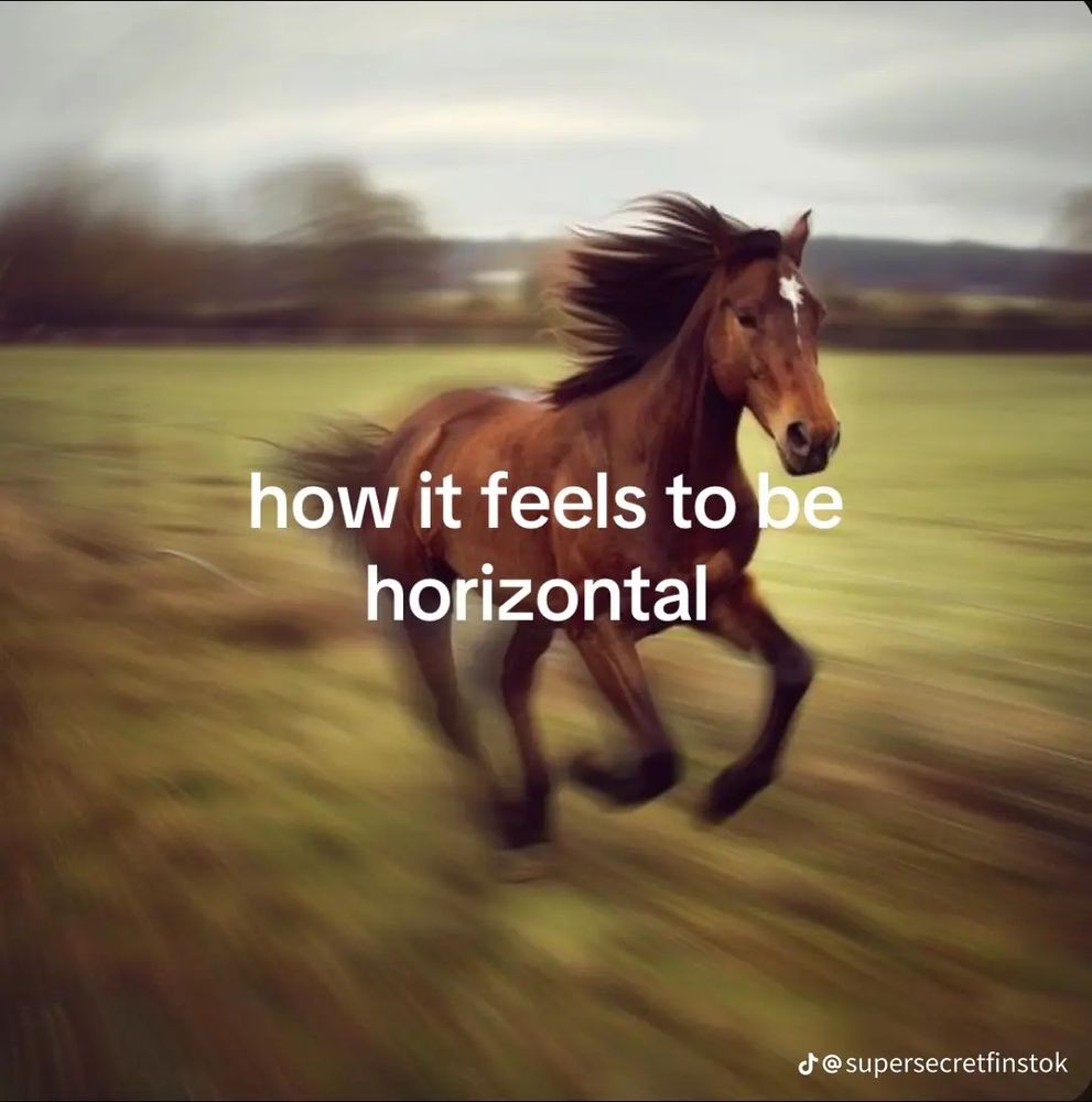 picture of a horse running with the text "how it feels to be horizontal"