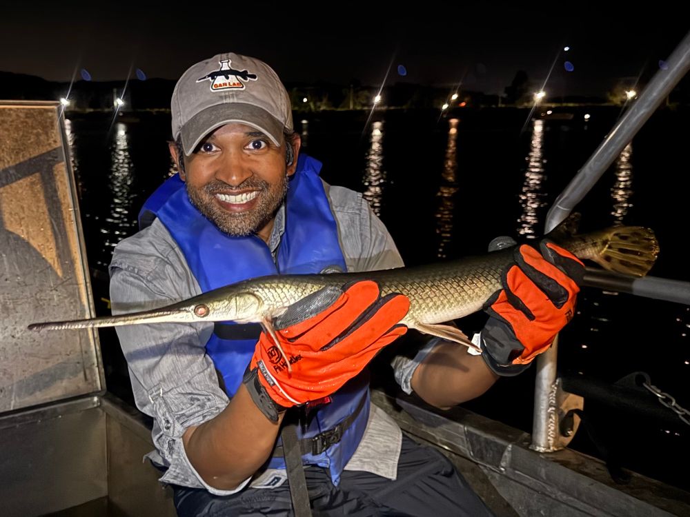 A gar (fish) scientist holds a Longnose Gar on a boat on the St. Croix River in Minnesota. 